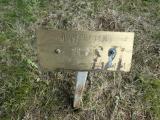 image of grave number 950477